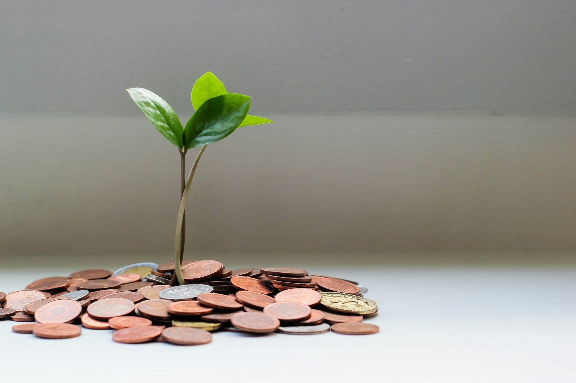 A small plant grows out of a pile of coins.